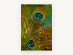 Peacock Feather Eyes, peacock feather digital art, animal canvas wall art print, front view