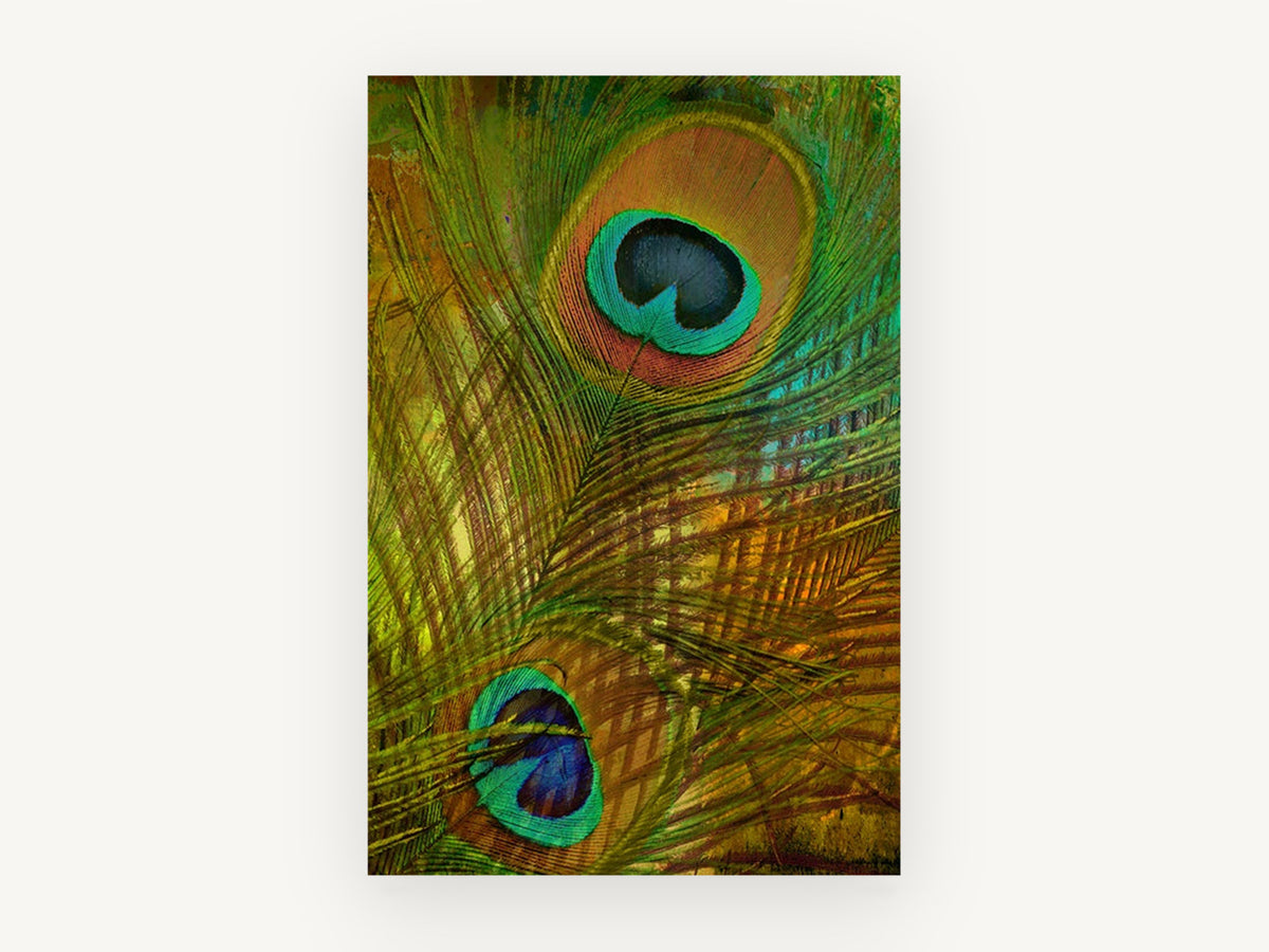 Peacock Feather Eyes, peacock feather digital art, animal canvas wall art print, front view