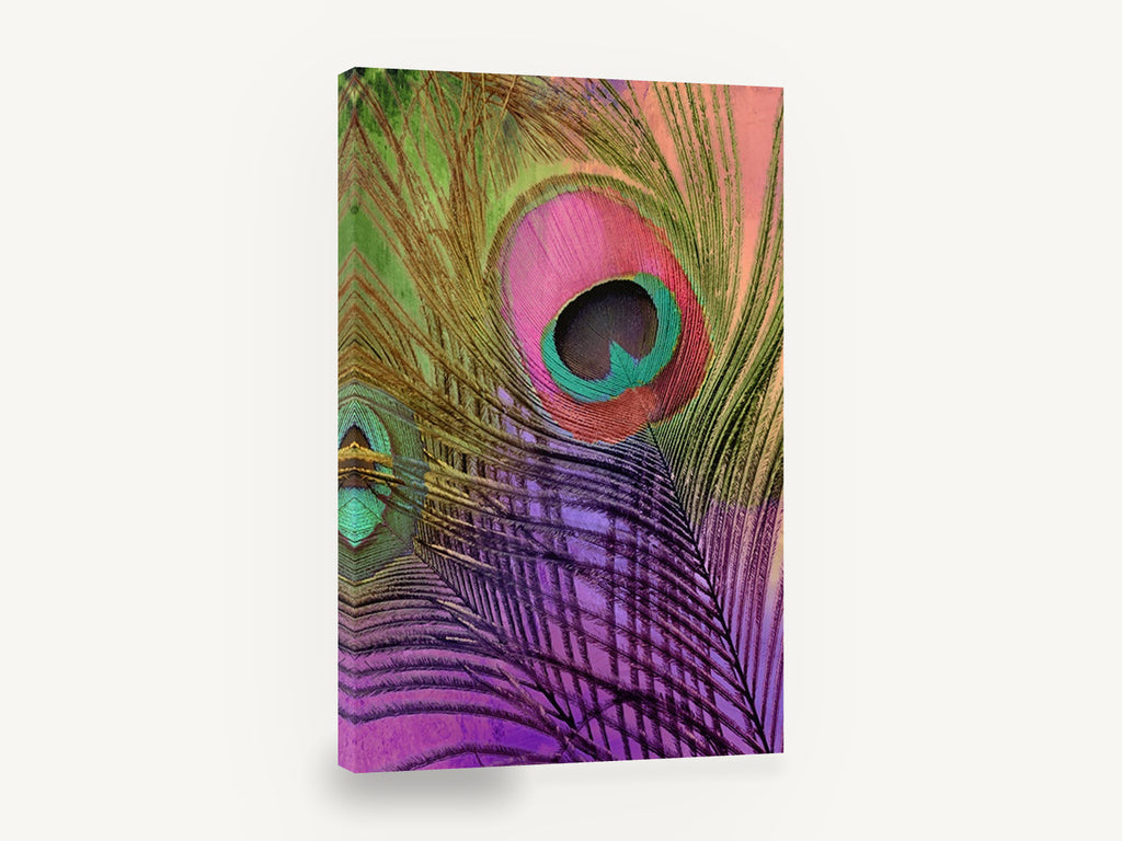 Peacock Feather Candy, colourful peacock feather close-up, animal canvas wall art print ready to hang