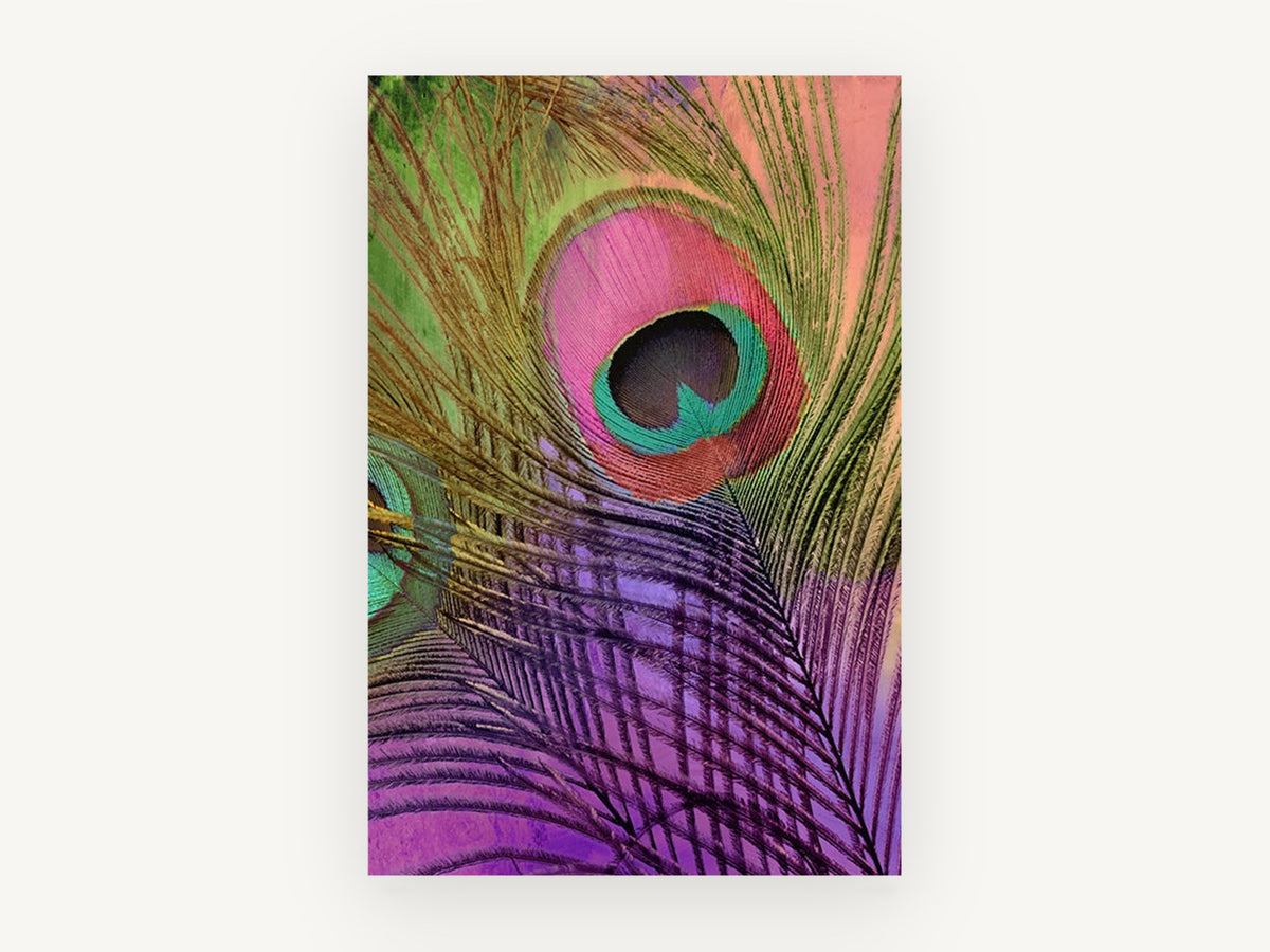 Peacock Feather Candy, colourful peacock feather close-up, animal canvas wall art print, front view