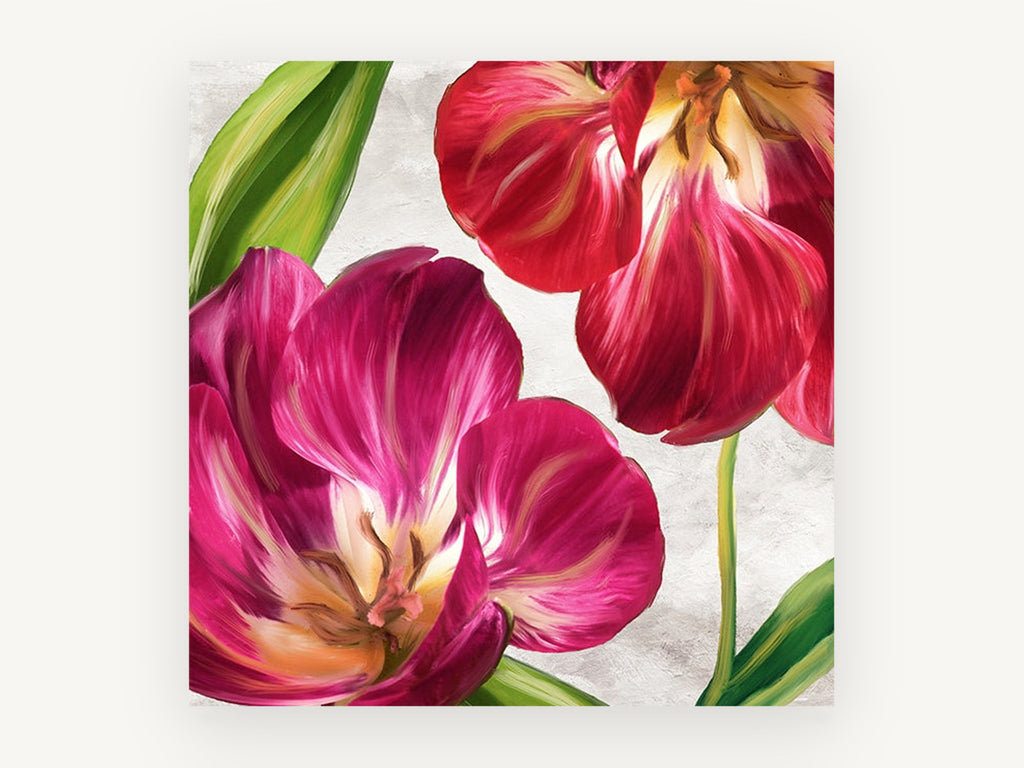 Open Tulips in Magenta, floral canvas wall art print, front view