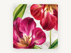 Open Tulips in Magenta, floral canvas wall art print, front view