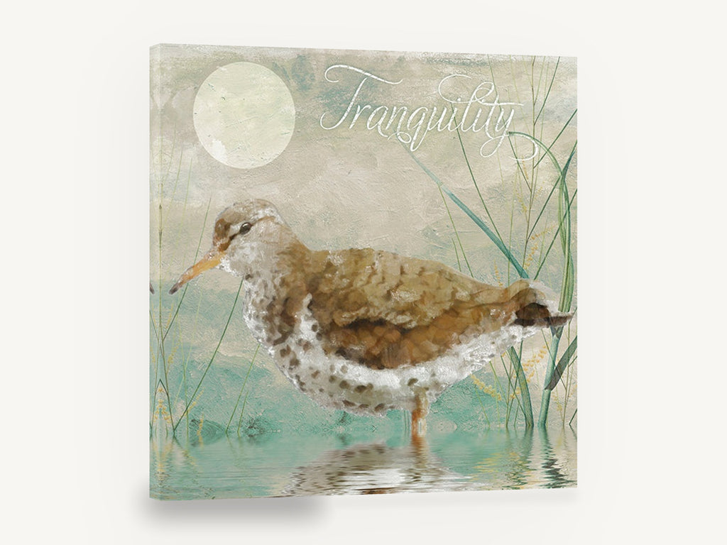 Still Water Sandpiper, sandpiper wading shorebird illustration, landscape canvas wall art print ready to hang