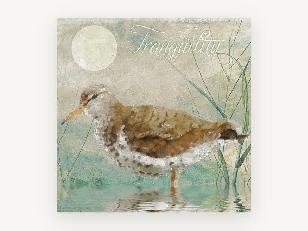 Still Water Sandpiper, sandpiper wading shorebird illustration, landscape canvas wall art print, front view