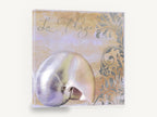 Pearl Nautilus Plage, pearlescent nautilus shell coastal, coastal canvas wall art print ready to hang