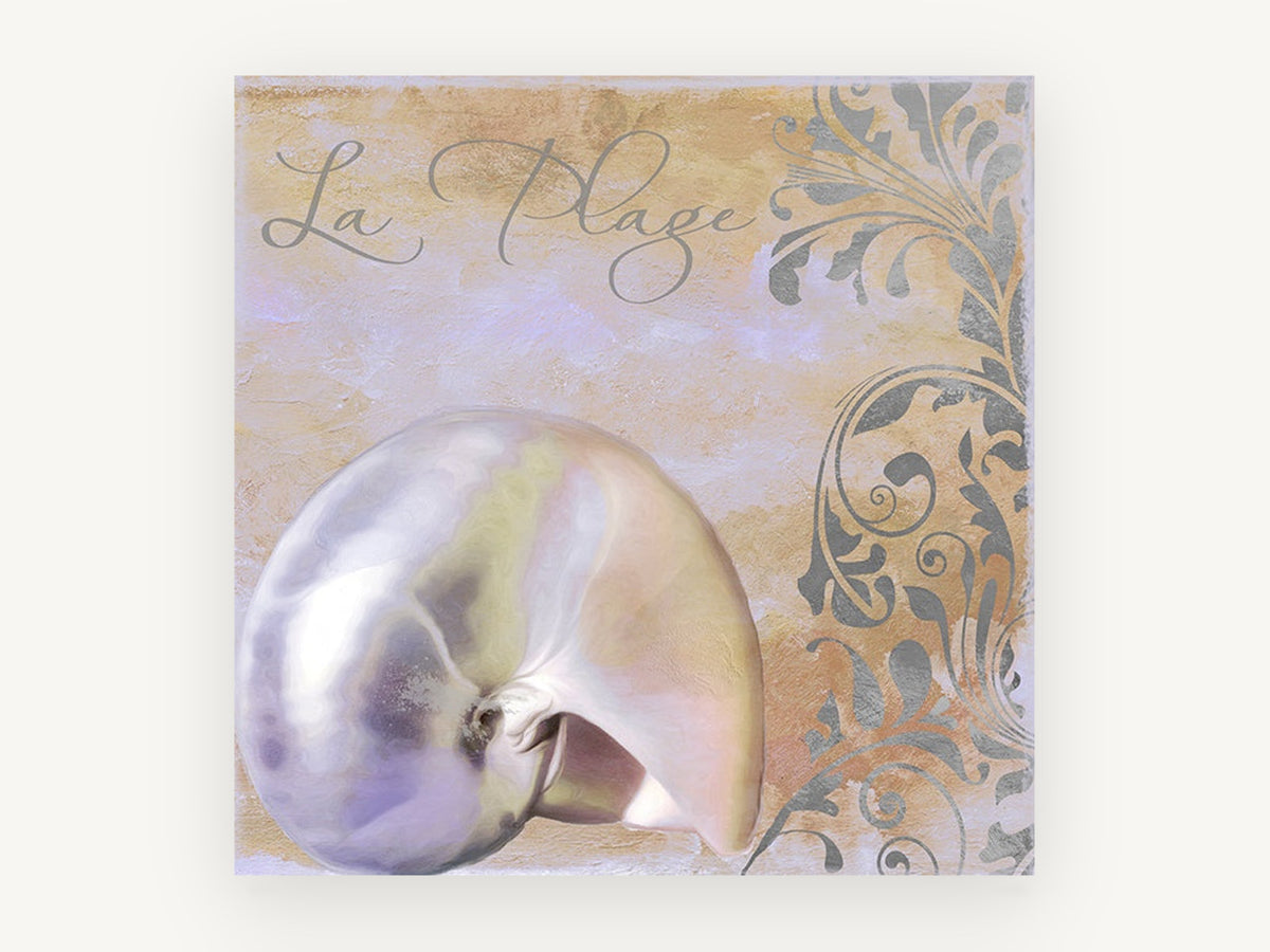 Pearl Nautilus Plage, coastal canvas wall art print, front view