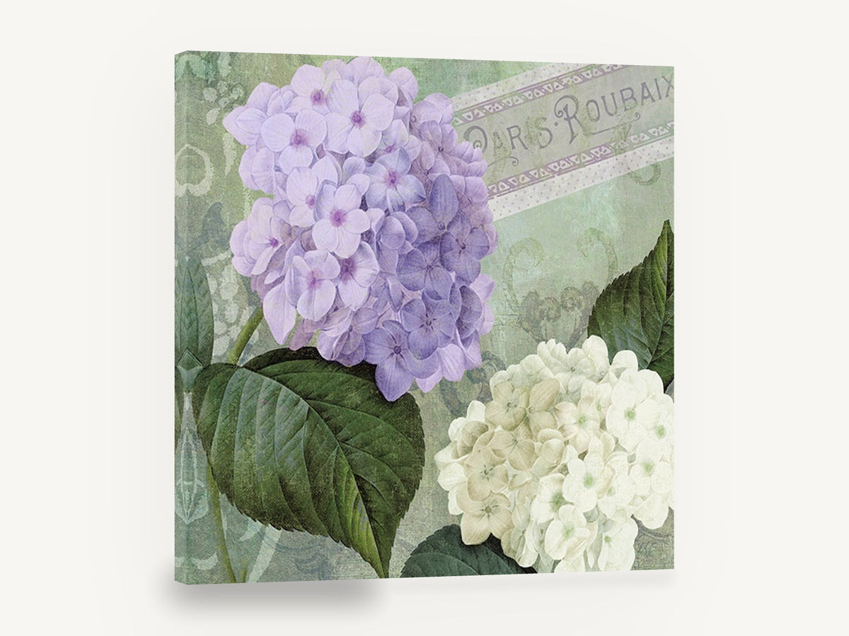 Lilac and White Hydrangeas, lilac white hydrangea vintage botanical, floral canvas wall art print ready to hang