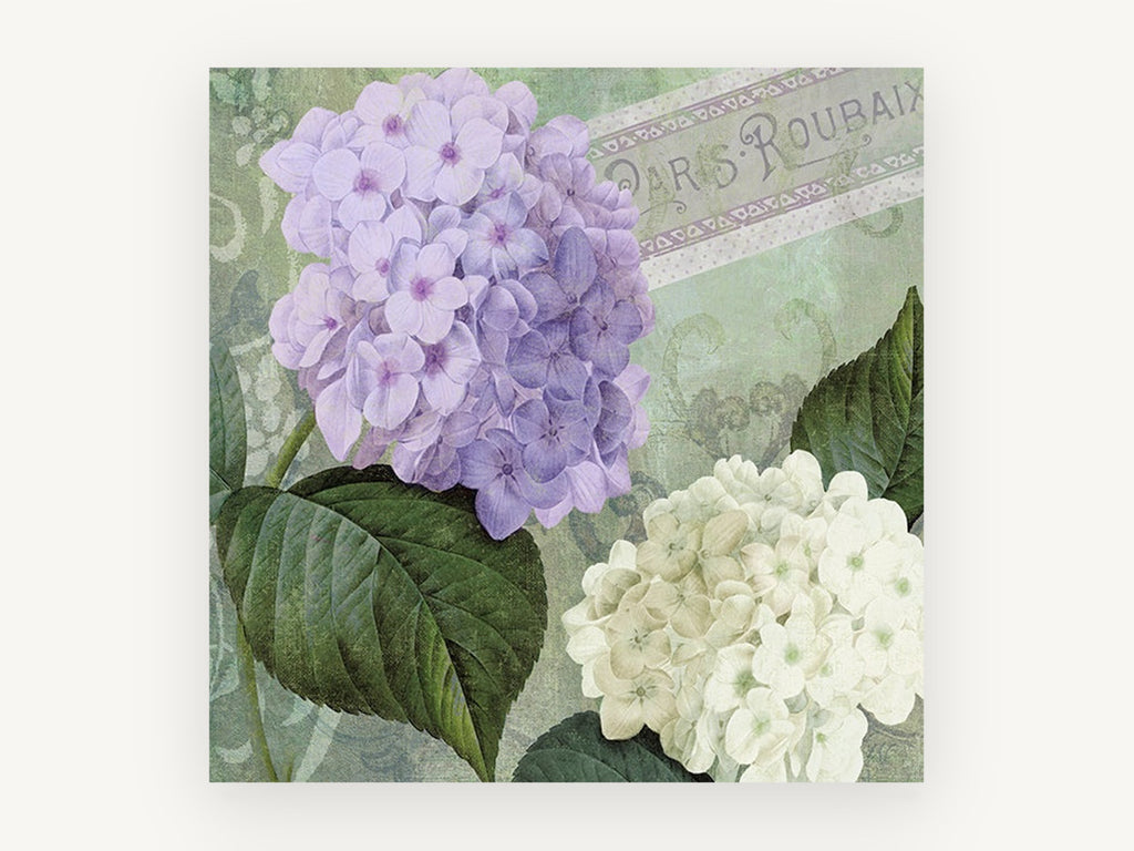 Lilac and White Hydrangeas, floral canvas wall art print, front view