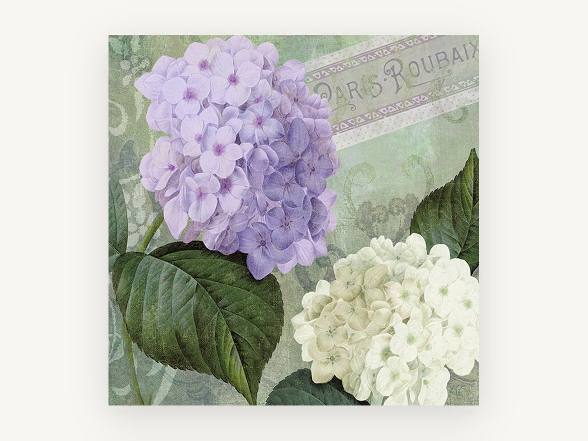 Lilac and White Hydrangeas, floral canvas wall art print, front view