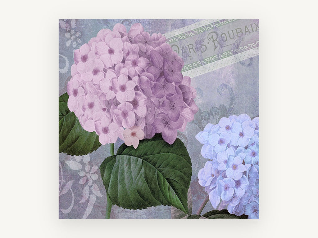 Lilac Hydrangea Postcard, floral canvas wall art print, front view