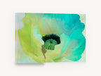 Aqua Poppy Bloom, teal and lime poppy floral close-up, floral canvas wall art print ready to hang