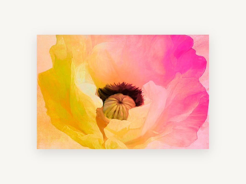 Sunrise Poppy Bloom, floral canvas wall art print, front view