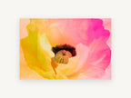 Sunrise Poppy Bloom, floral canvas wall art print, front view