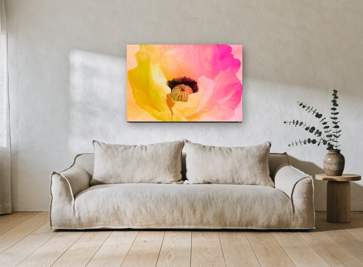 Sunrise Poppy Bloom floral canvas print on the wall of a living room