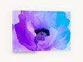 Violet Poppy Bloom, purple blue poppy close-up floral, floral canvas wall art print ready to hang