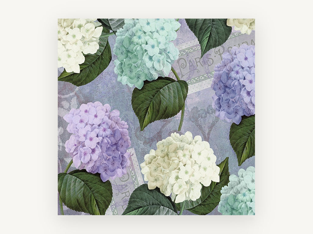 Hydrangea Postcard Lavenders, floral canvas wall art print, front view