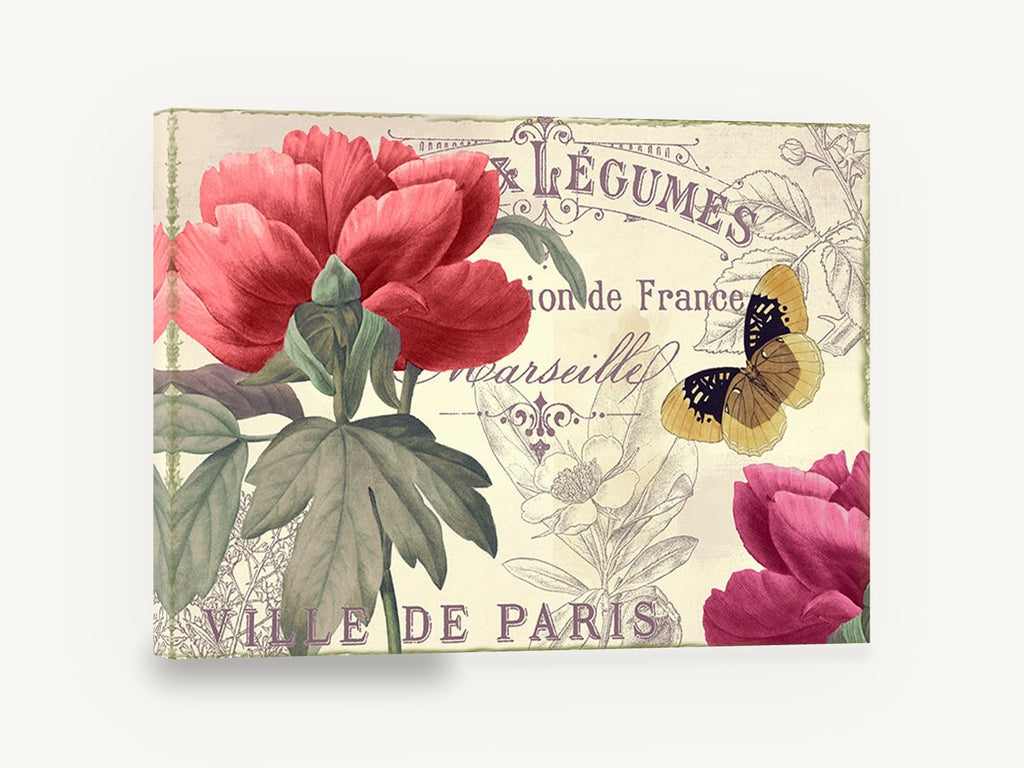 Parisian Peony Postcard, red peony butterfly french botanical, floral canvas wall art print ready to hang