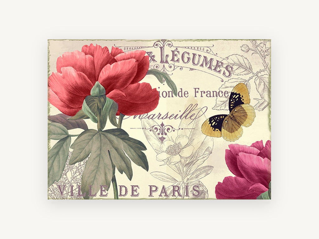 Parisian Peony Postcard, floral canvas wall art print, front view