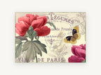Parisian Peony Postcard, floral canvas wall art print, front view