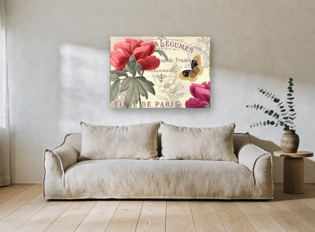 Parisian Peony Postcard floral canvas print on the wall of a living room