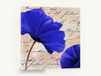 Azure Script Poppies, blue poppies on script background, floral canvas wall art print ready to hang