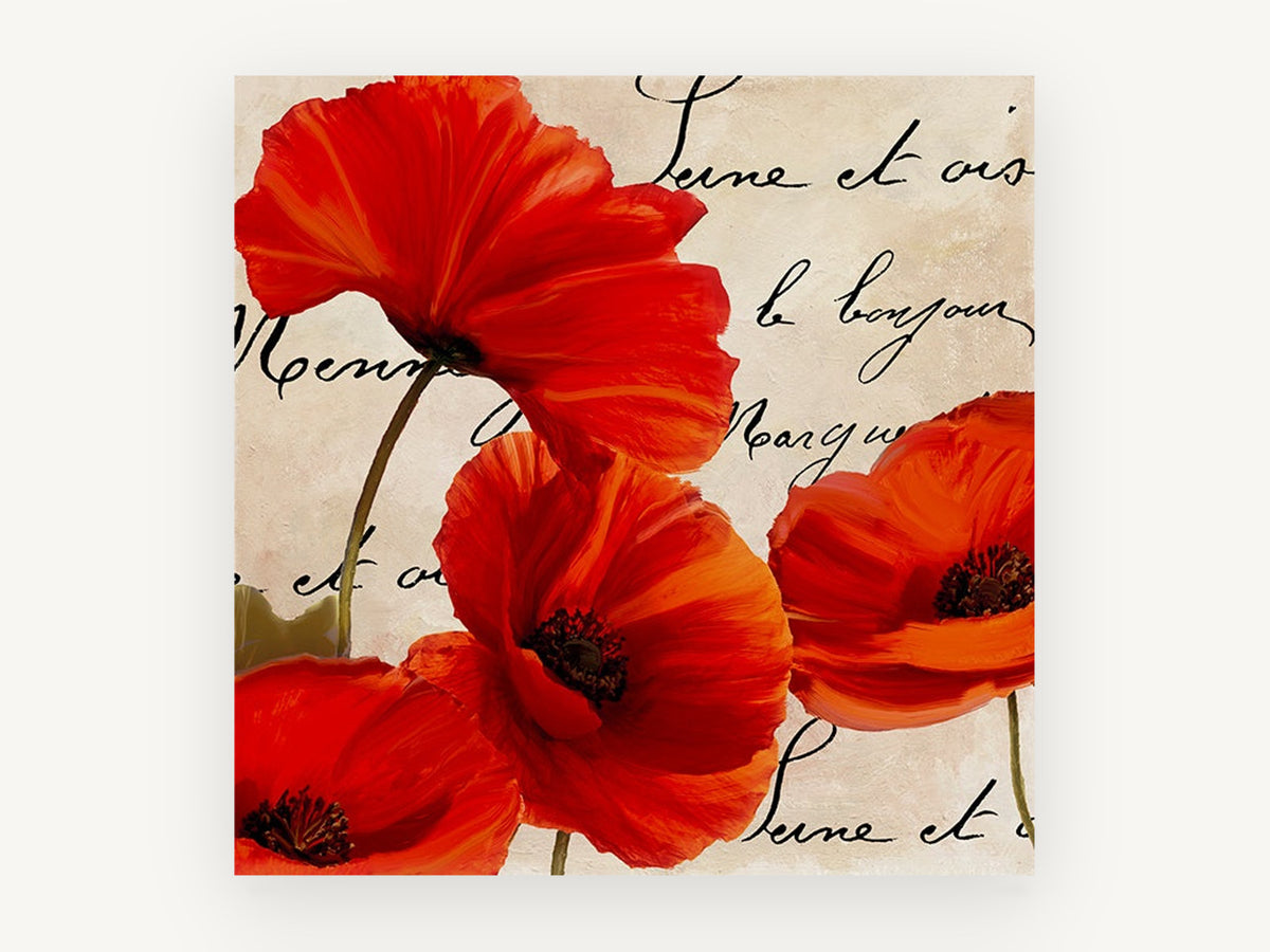 Scarlet Poppies on Script, floral canvas wall art print, front view