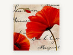 Scarlet Poppies Script, floral canvas wall art print, front view