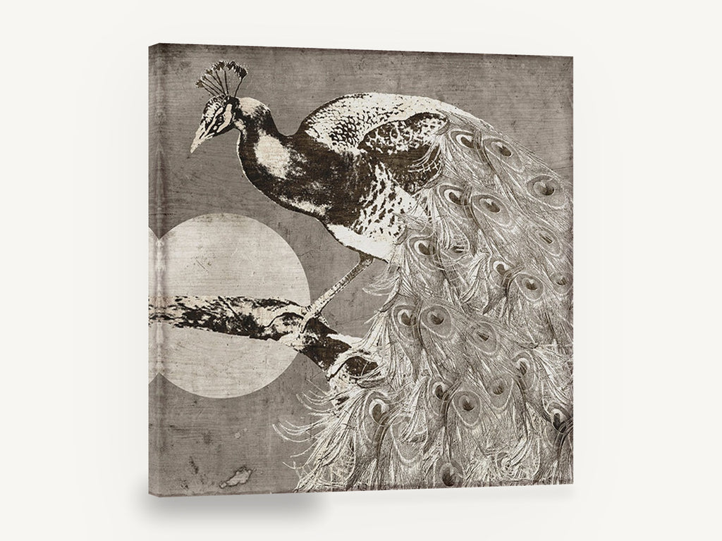 Moonlit Peacock Perch, vintage peacock moon illustration, animal canvas wall art print ready to hang