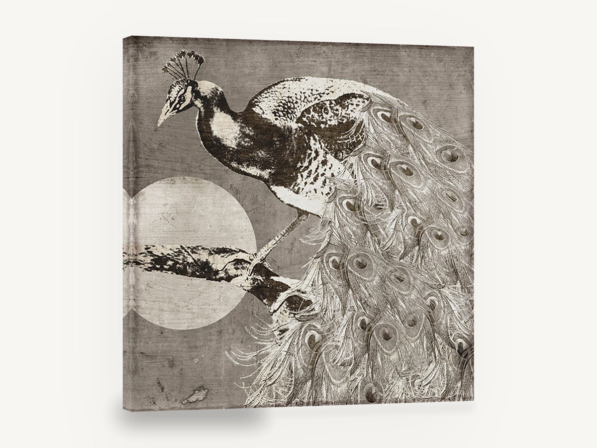 Moonlit Peacock Perch, vintage peacock moon illustration, animal canvas wall art print ready to hang