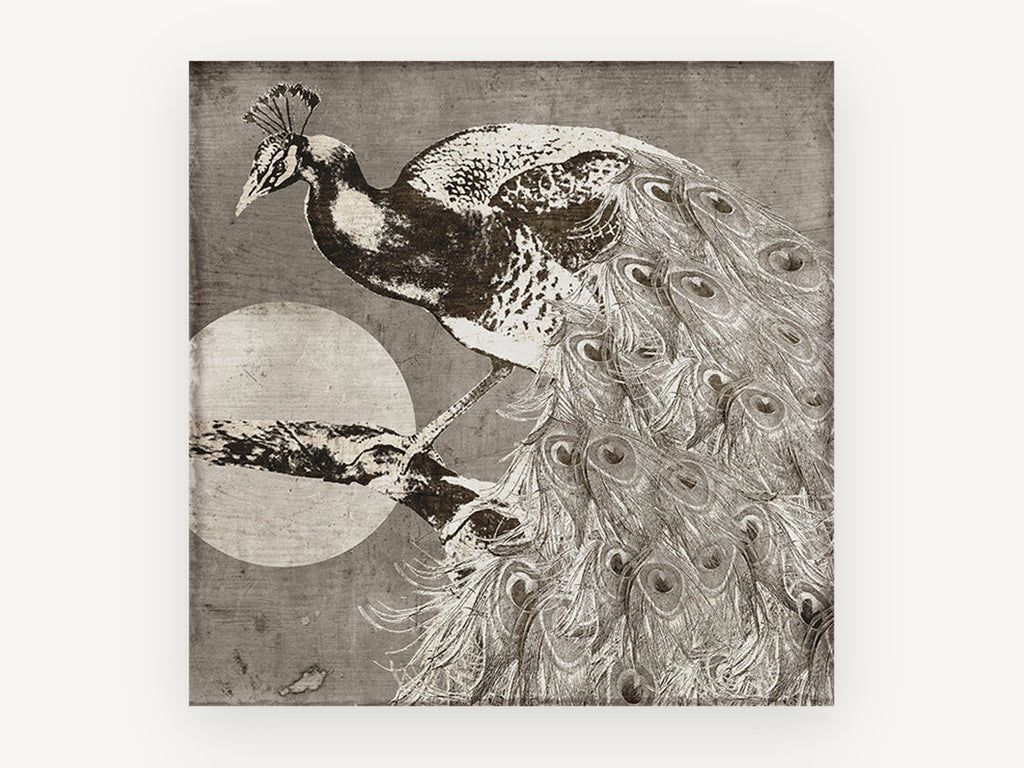 Moonlit Peacock Perch, vintage peacock moon illustration, animal canvas wall art print, front view