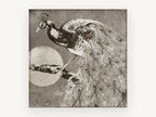 Moonlit Peacock Perch, vintage peacock moon illustration, animal canvas wall art print, front view