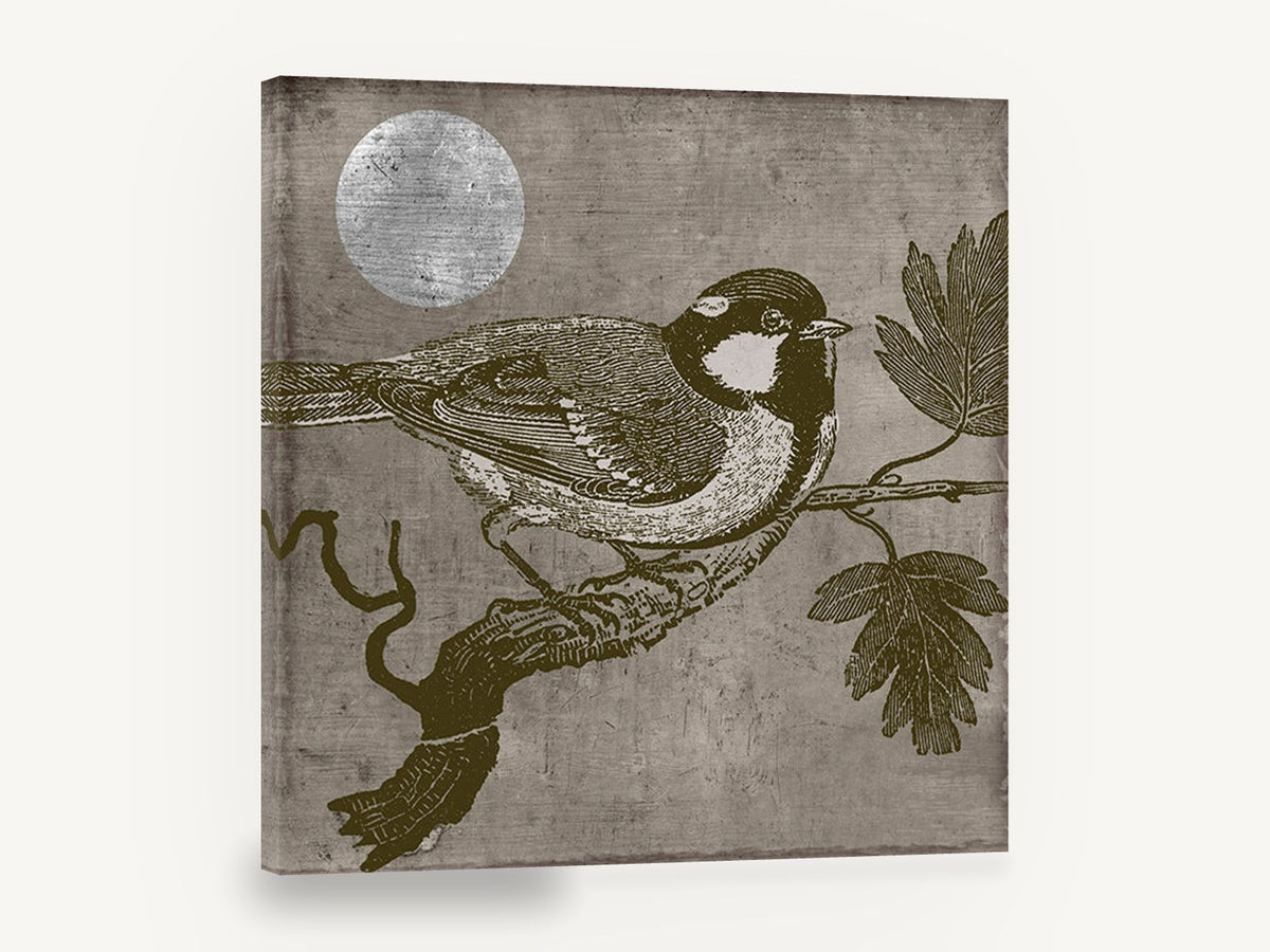 Titmouse Under Silver Moon, vintage bird engraving illustration, animal canvas wall art print ready to hang