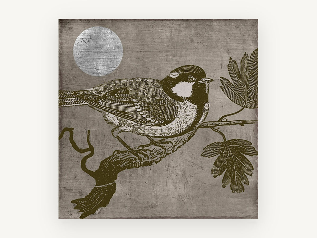 Titmouse Under Silver Moon, vintage bird engraving illustration, animal canvas wall art print, front view