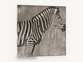Zebra in the Reeds, zebra silhouette illustration, animal canvas wall art print ready to hang