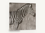 Zebra in the Reeds, zebra silhouette illustration, animal canvas wall art print ready to hang