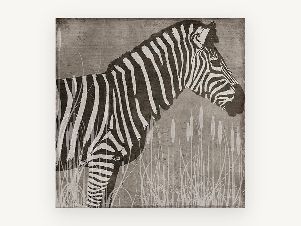 Zebra in the Reeds, zebra silhouette illustration, animal canvas wall art print, front view