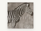 Zebra in the Reeds, zebra silhouette illustration, animal canvas wall art print, front view