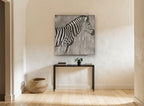 Zebra in the Reeds animal canvas print on the wall of a hallway