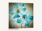 Blue Poppies on Script, blue poppy vintage french script floral, floral canvas wall art print ready to hang