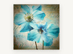 Blue Poppies on Script, floral canvas wall art print, front view
