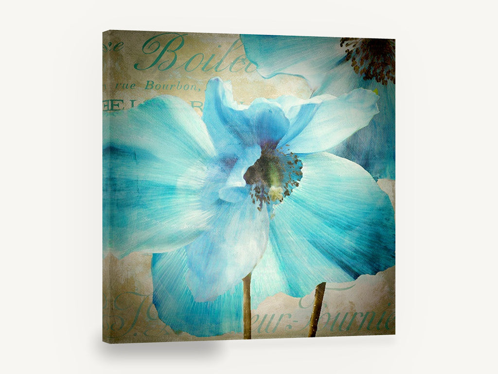 Blue Poppy Script, blue poppy vintage script floral, floral canvas wall art print ready to hang