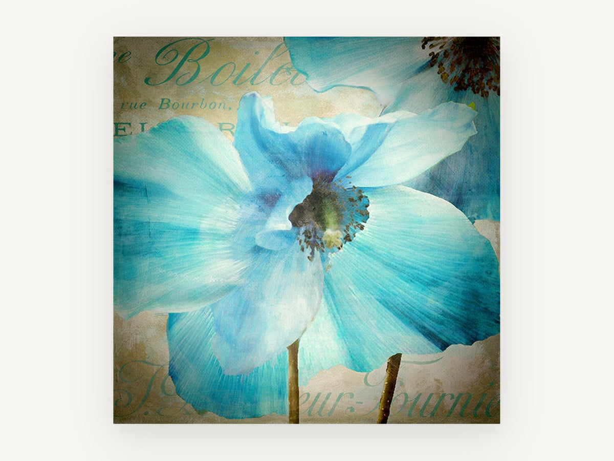Blue Poppy Script, floral canvas wall art print, front view
