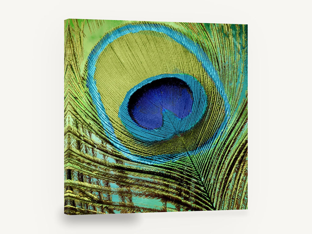 Peacock Eye Close-Up, peacock feather close-up photograph, animal canvas wall art print ready to hang