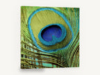 Peacock Eye Close-Up, peacock feather close-up photograph, animal canvas wall art print ready to hang