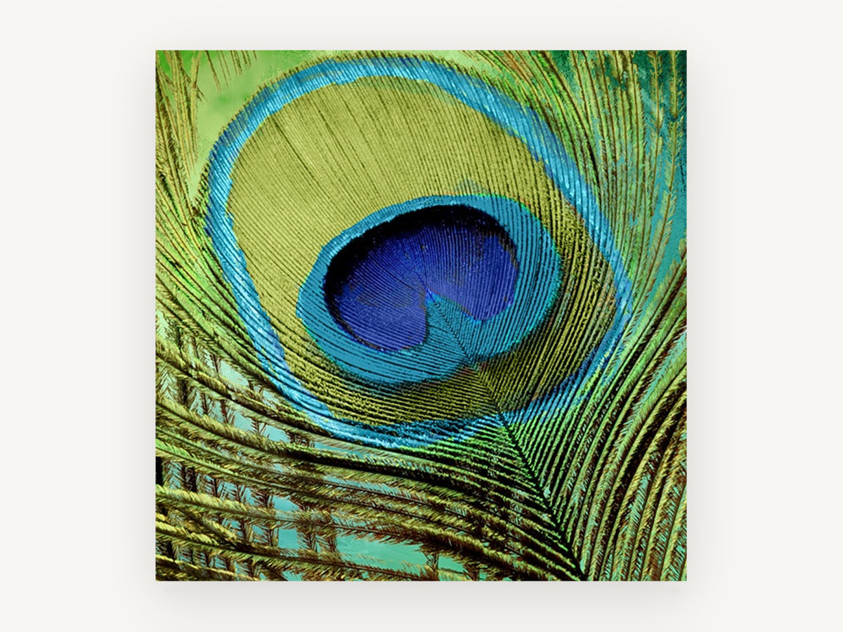 Peacock Eye Close-Up, peacock feather close-up photograph, animal canvas wall art print, front view