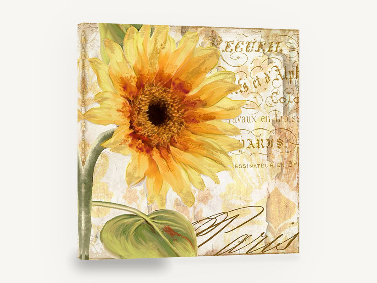 Sunflower Paris Script, yellow sunflower vintage french script, floral canvas wall art print ready to hang