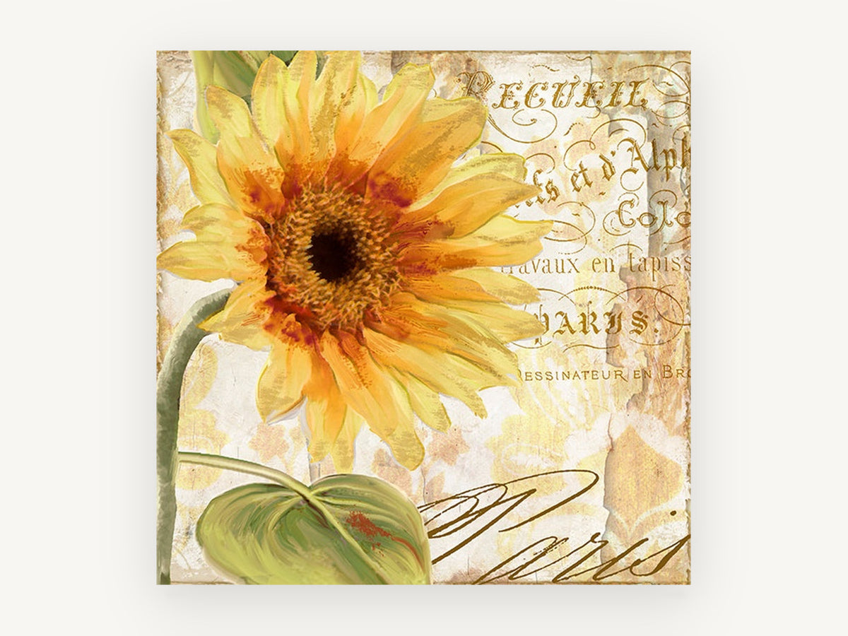 Sunflower Paris Script, floral canvas wall art print, front view