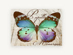 Teal Papillon Monarque, vintage butterfly typography illustration, animal canvas wall art print, front view