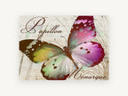 Papillon Monarque Butterfly, vintage french butterfly illustration, animal canvas wall art print, front view