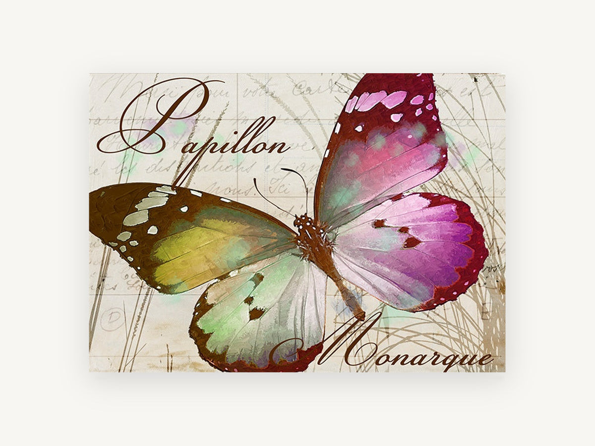 Papillon Monarque Butterfly, vintage french butterfly illustration, animal canvas wall art print, front view